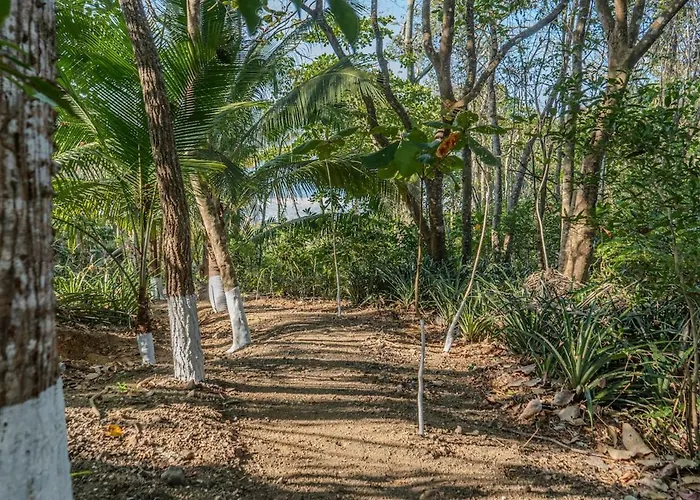 Cara Cara - Luxury Beachfront With Private Pool *
